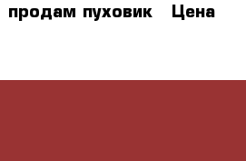 продам пуховик › Цена ­ 12 000 - Самарская обл. Одежда, обувь и аксессуары » Мужская одежда и обувь   